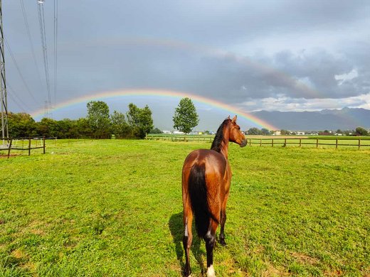 Aktivitäten in der Ostschweiz Aktivitäten in der Ostschweiz