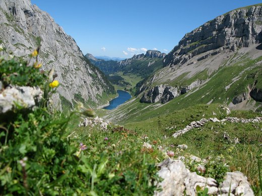 Aktivitäten in der Ostschweiz Aktivitäten in der Ostschweiz